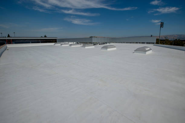 Best Rubber Roofing (EPDM, TPO)  in Braddock, VA