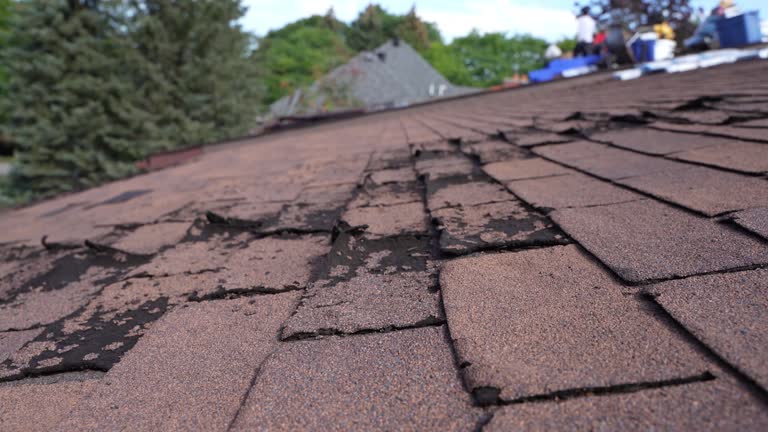 Best Emergency Roof Repair Services  in Braddock, VA