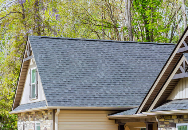 Best Roof Moss and Algae Removal  in Braddock, VA